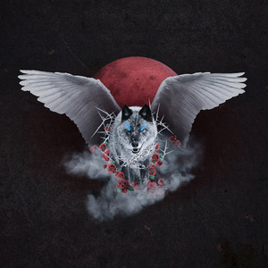 撸管二次元动画视频
